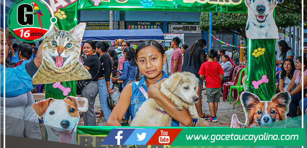 Éxito de la Campaña de Salud Canina y Felina en Satipo