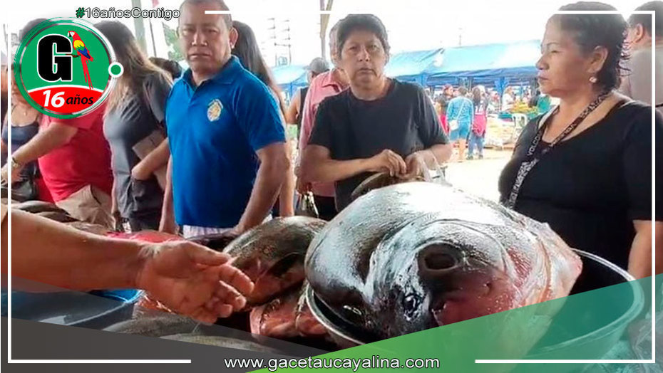 Mercado de Belén en Iquitos: centro de encuentro para adquirir pescado por Semana Santa
