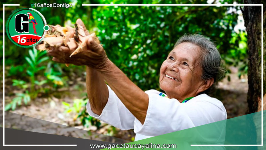 Nelly Yahuarcani, la guardiana de los secretos medicinales de la Amazonía a sus 75 años