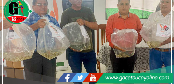 Alcalde John Salcedo Ríos Impulsa la Acuicultura Sostenible en Sepahua