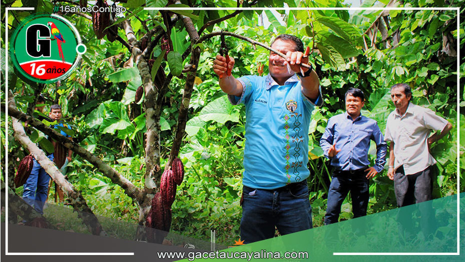 Municipalidad de Tahuania fortalece capacidades de productores cacaoteros con importante iniciativa