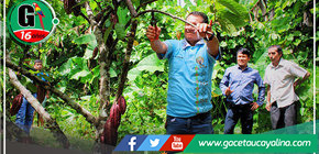 Municipalidad de Tahuania fortalece capacidades de productores cacaoteros con importante iniciativa