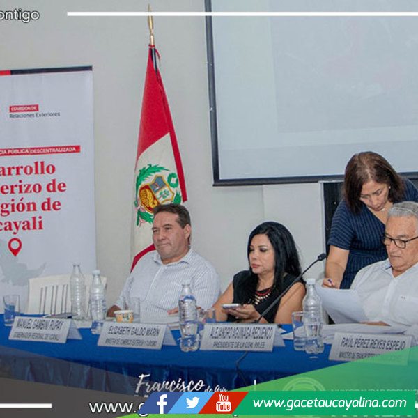 Francisco de Asís Mendoza de Souza lidera participación en Audiencia Pública Descentralizada