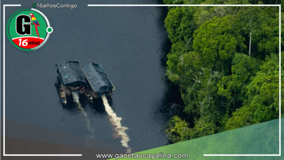 Primeras imágenes de deforestación por minería ilegal en el Rio Nanay