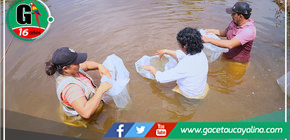 Gobierno Regional de Ucayali entrega 5 mil alevinos de gamitana en Tahuania