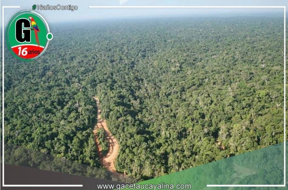 La lucha contra la ilegalidad, la criminalidad y la impunidad es el desafío que presenta la Amazonía