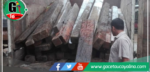 Intervienen más de 50 metros cúbicos de madera ilegal proveniente de Ucayali