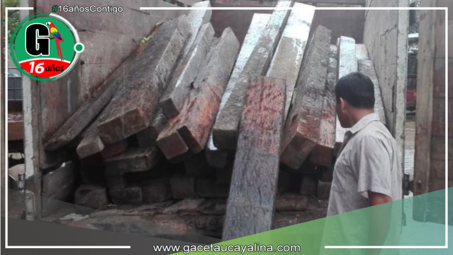 Intervienen más de 50 metros cúbicos de madera ilegal proveniente de Ucayali