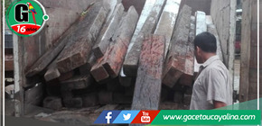 Intervienen más de 50 metros cúbicos de madera ilegal proveniente de Ucayali