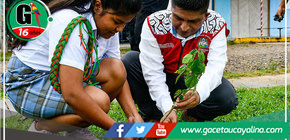 Alcalde John Salcedo Ríos Promueve Prácticas Ecoamigables en Sepahua