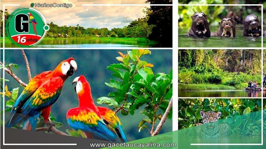 "El Parque Nacional del Manu: Tesoro Natural de la Selva Peruana"