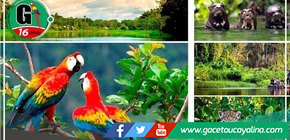 "El Parque Nacional del Manu: Tesoro Natural de la Selva Peruana"