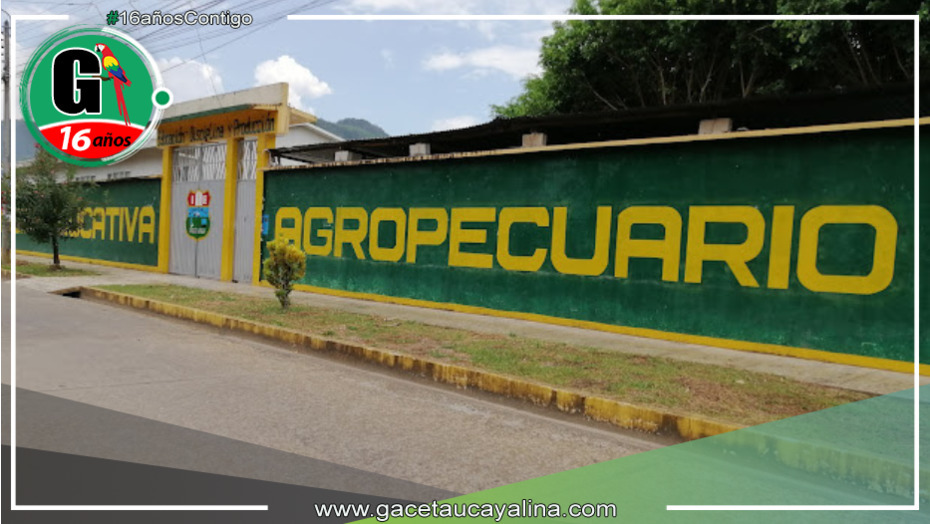 Varios estudiantes desmayados deja ceremonia escolar en Tingo María