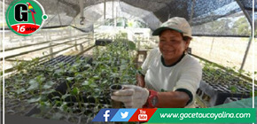 Arranca en Perú el Programa de Incentivos Forestales para impulsar la sostenibilidad y el desarrollo económico en comunidades rurales