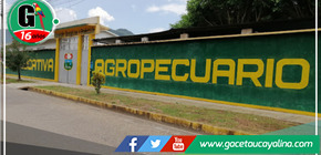 Varios estudiantes desmayados deja ceremonia escolar en Tingo María