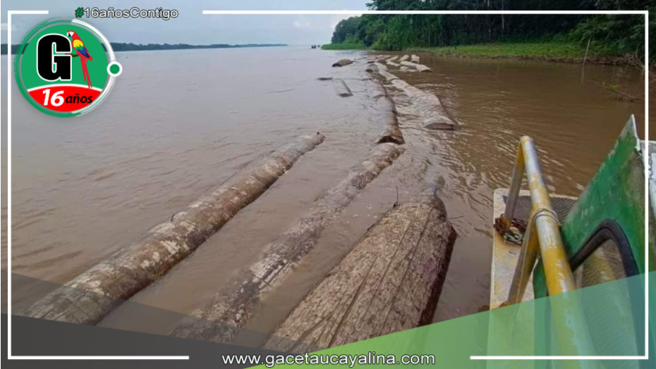 Descubren 60 trozas de madera abandonadas en el río Marañón