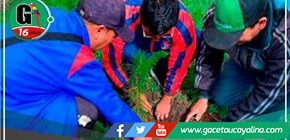 "Diez mil plantones: un acto significativo en el Día de la Tierra."