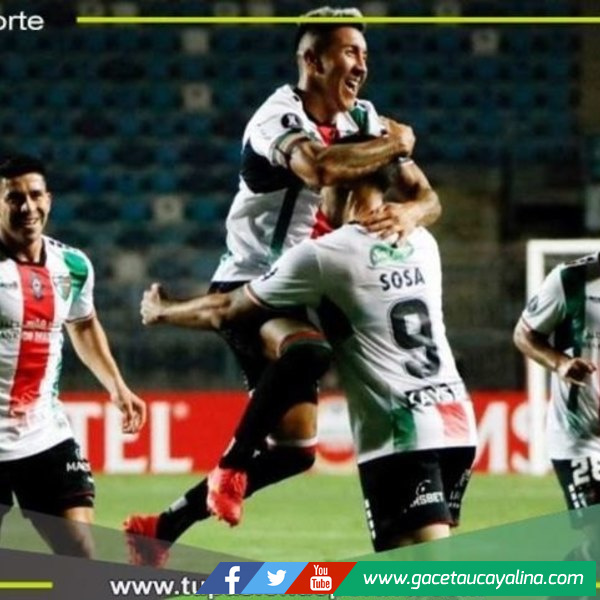 Palestino vs Millonarios 