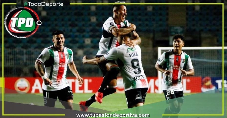 Palestino vs Millonarios