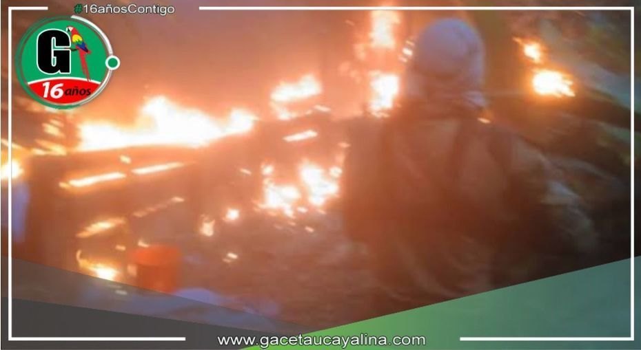 Destruyen pozas de maceración e incautan sustancias y armas