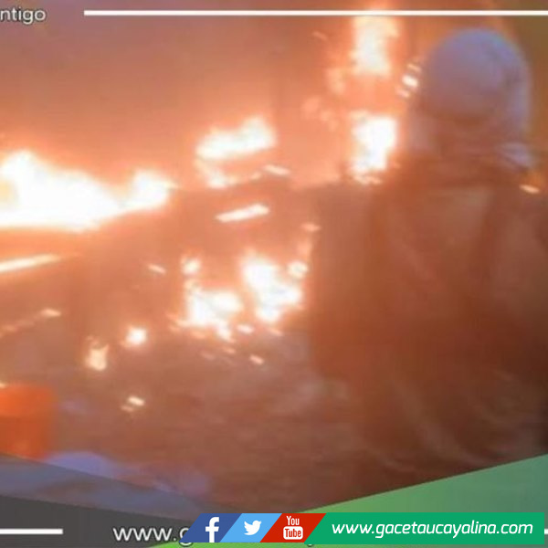 Destruyen pozas de maceración e incautan sustancias y armas 