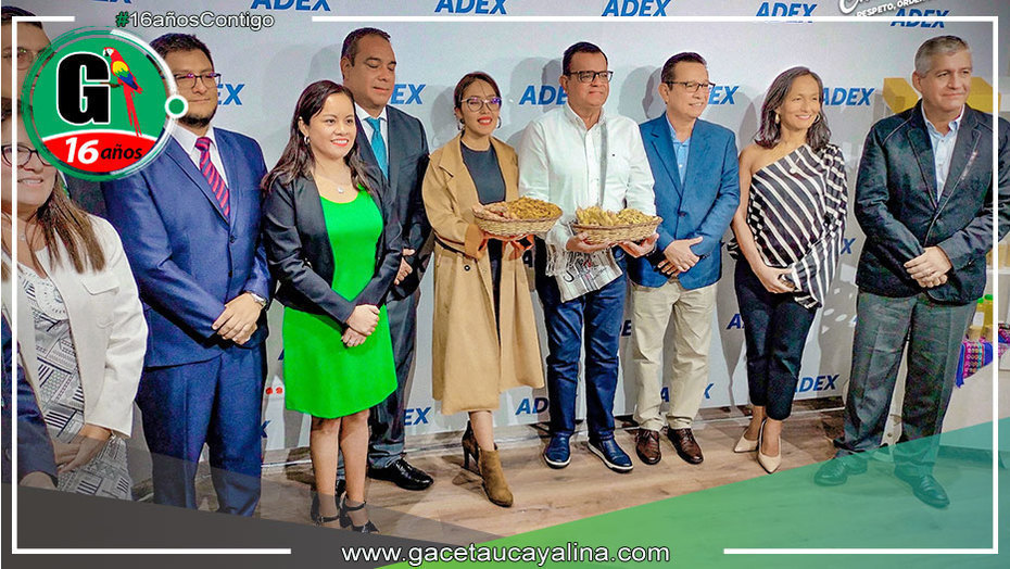 Lanzamiento del Ginger Week 2024 busca posicionar el kion y la cúrcuma a nivel mundial