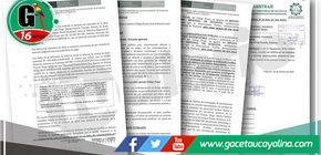 Desafíos y Controversias en el Caso del Puente Tingo María 