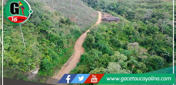 Gobierno Regional de Pasco inicia construcción de carretera en Puerto Bermúdez