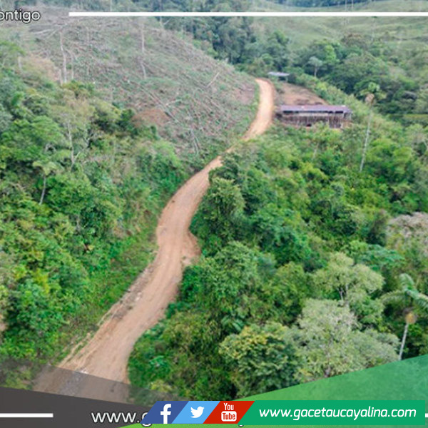 Gobierno Regional de Pasco inicia construcción de carretera en Puerto Bermúdez