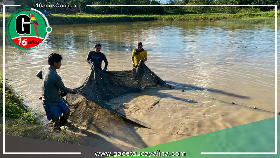 Sanipes impulsa medidas de bioseguridad para acuicultores en la región Huánuco