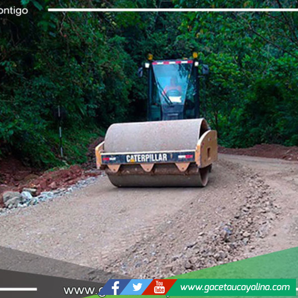 Mejoramiento vial en Junín, Pasco, Huánuco y Ucayali: Provías Nacional anuncia inversión millonaria