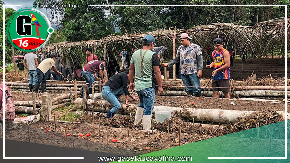 Sembrando Futuros: Proyecto "Cultivos de mi Tierra Atalayina" Beneficia a Comunidades Nativas