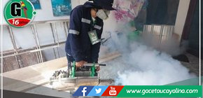 Minsa registra 294 distritos en disminución y meseta por casos de dengue