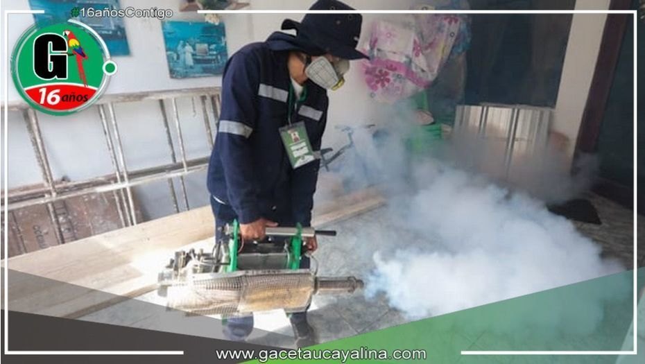 Minsa registra 294 distritos en disminución y meseta por casos de dengue