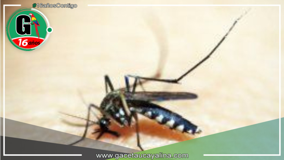 Muere hombre de 55 años por dengue grave en comunidad awajún