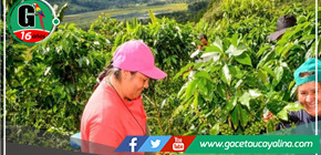 San Martín destaca reduciendo la pobreza mientras a nivel nacional aumenta