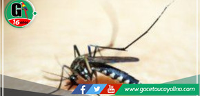 Muere hombre de 55 años por dengue grave en comunidad awajún