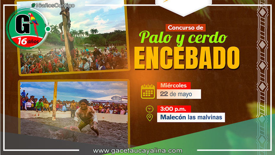 Concurso de Palo y Cerdo Encebado: Una Fiesta de Tradición y Habilidad en la provincia de Padre Abad