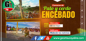 Concurso de Palo y Cerdo Encebado: Una Fiesta de Tradición y Habilidad en la provincia de Padre Abad