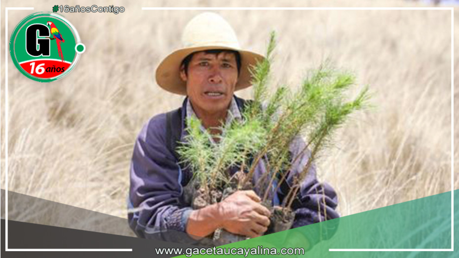 Junín: finaliza la elaboración del expediente técnico para el proyecto de restauración de servicios ecosistémicos