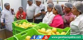 San Martín: inauguran un nuevo Centro de Procesamiento de Alimentos en la región