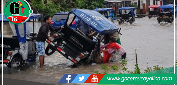 El Goresam destinará una suma superior a los 12 millones de soles mediante el Proyecto Apícola