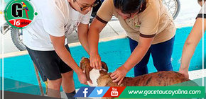 Exitosa campaña de desparasitación y vitaminización de mascotas en Irazola