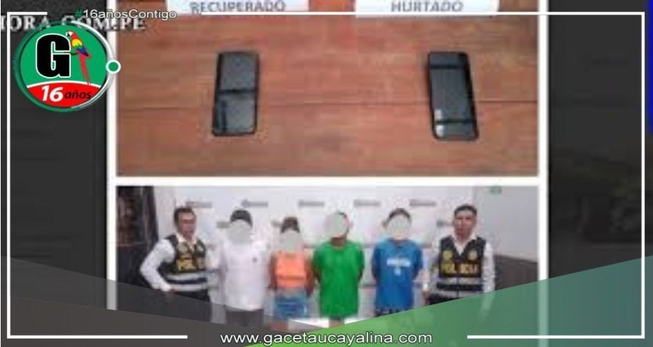 Desarticulan banda criminal llamado "Los roba celulares"