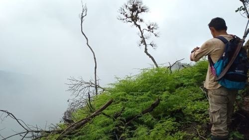 San Martín: Supervisan proceso de repoblación forestal en área dañada por fuego en la Cordillera Escalera