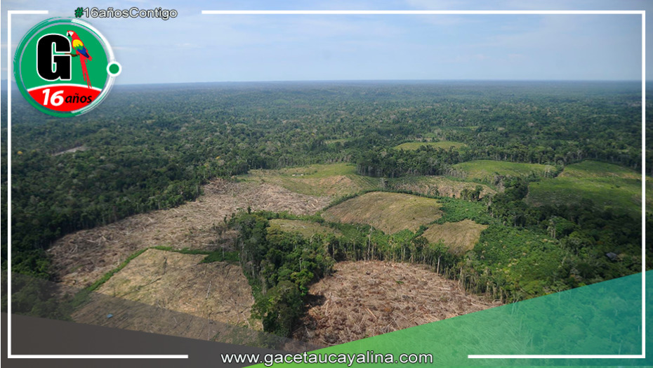Ucayali: El Gobierno promoverá la legalización de áreas desforestadas en la región amazónica