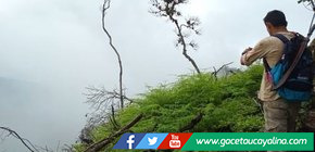 San Martín: Supervisan proceso de repoblación forestal en área dañada por fuego en la Cordillera Escalera