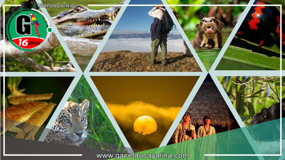 Protección del corredor ecológico Manu Purús: la comunidad internacional apoyará la conservación de esta excepcional biodiversidad