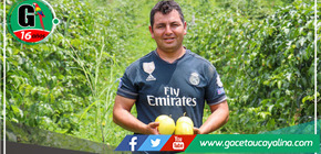 Proyecto de USAID y Perú-HUB impulsa el cultivo de maracuyá en San Martín