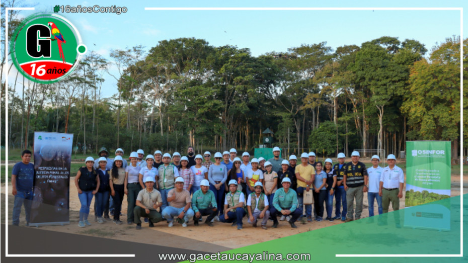 OSINFOR realiza capacitaciones para operadores de justicia en Ucayali para combatir el tráfico de madera